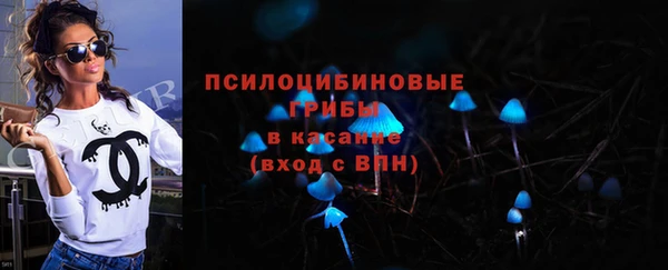 молекула духа Балахна