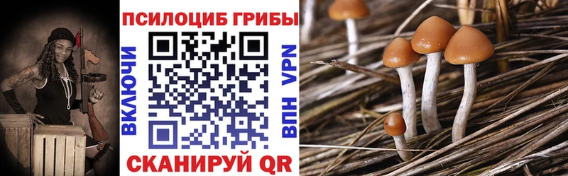 Псилоцибиновые грибы Psilocybine cubensis  даркнет сайт  мега ссылки  Воронеж 